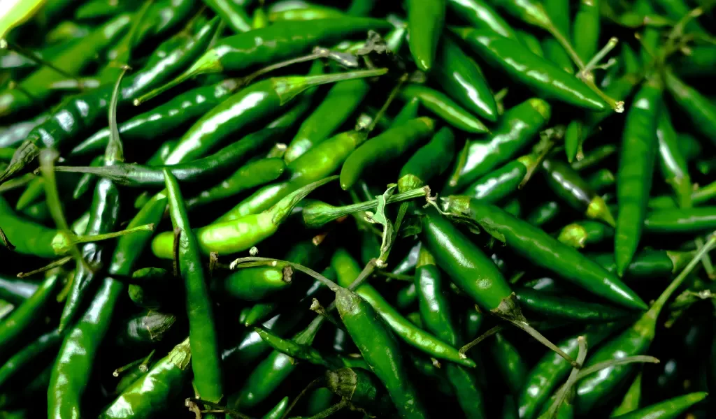 16 productos para abrir una tienda de abarrotes eleventa blog chile