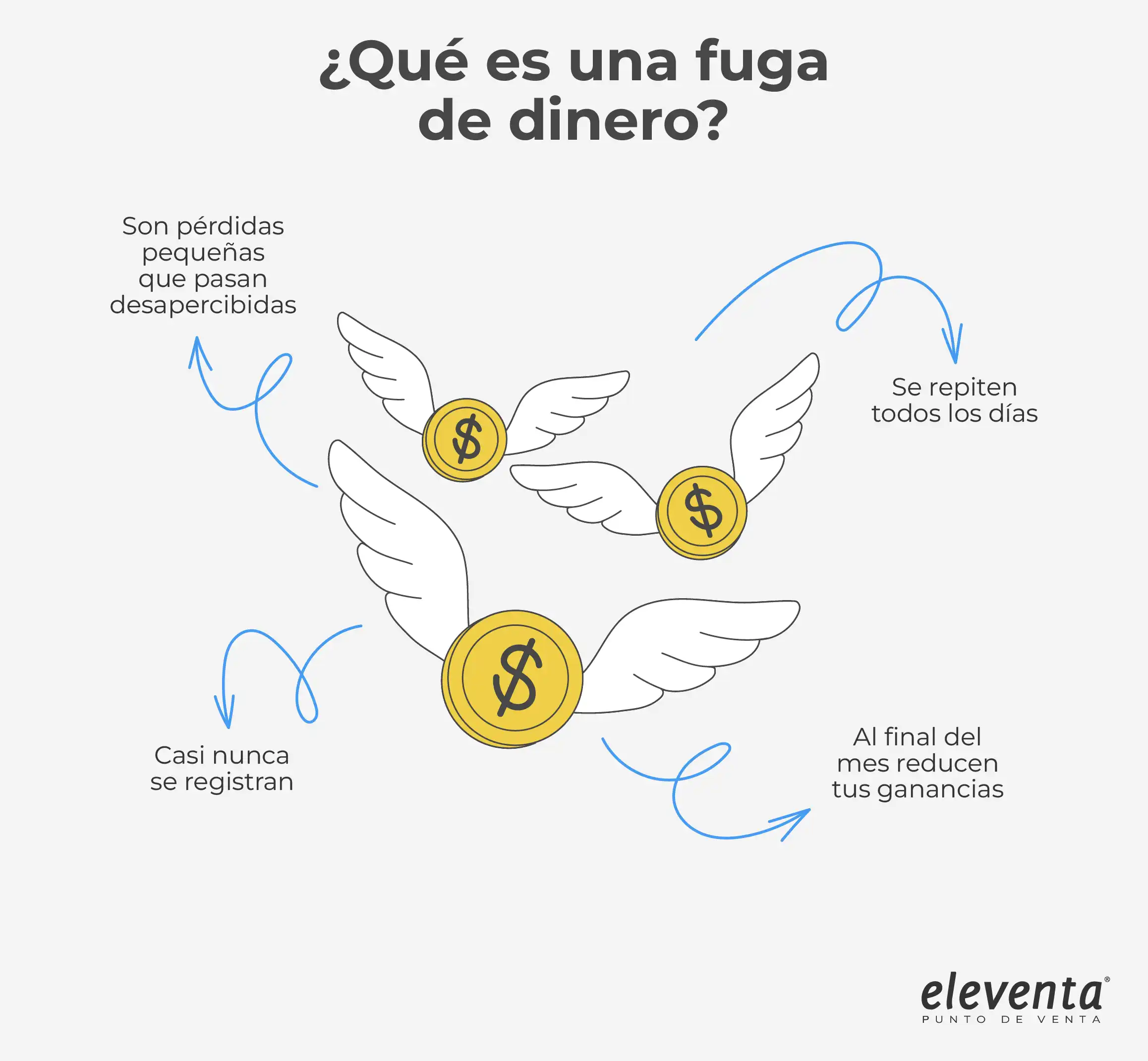 Que es fuga de dinero