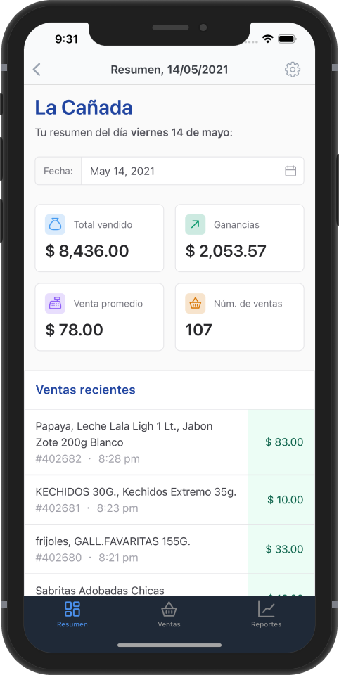 vista resumen pulso eleventa