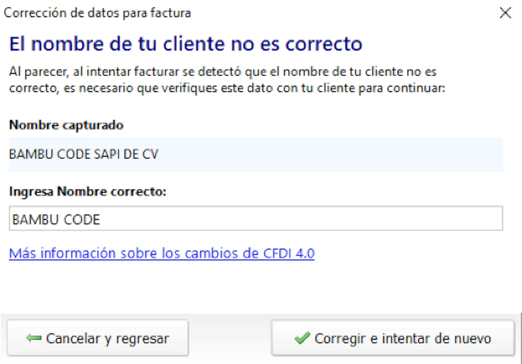 Correción-de-datos-para-factura-2