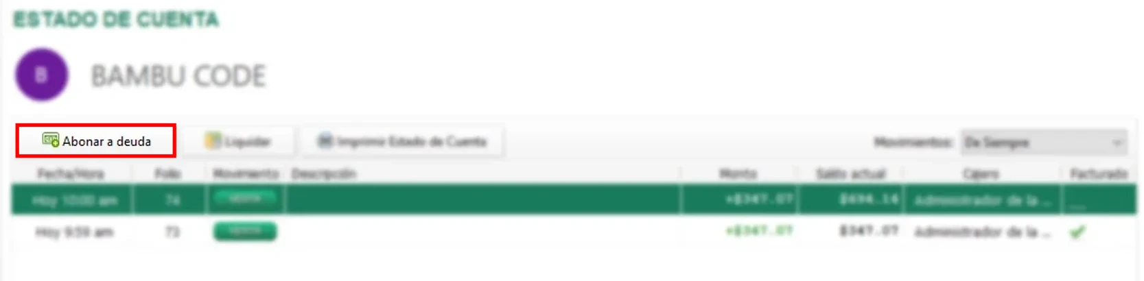 abonar-a-deuda-estado-cuenta-2