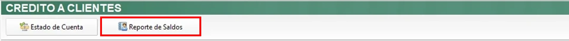 boton-reporte-de-saldos-2