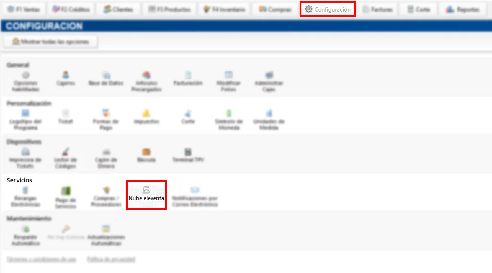 configuracion-nube-eleventa-3