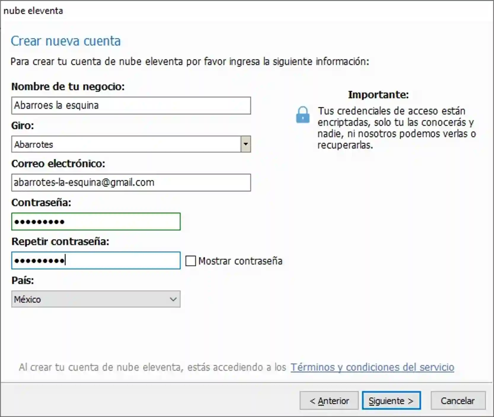 configuracion-nube-eleventa-crear-nueva-cuenta-informacion-2