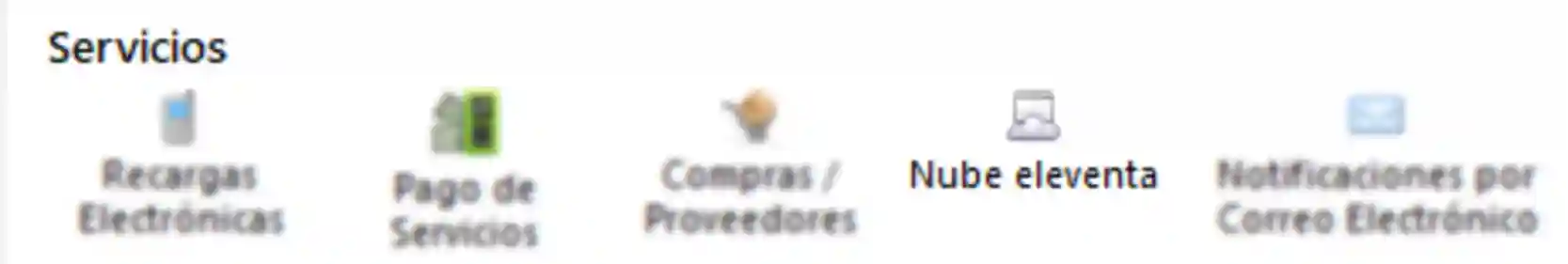 configuracion-servicios-nube-eleventa