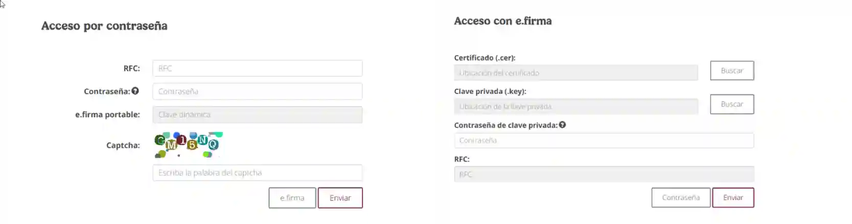 Acceso por contraseña o con e.firma