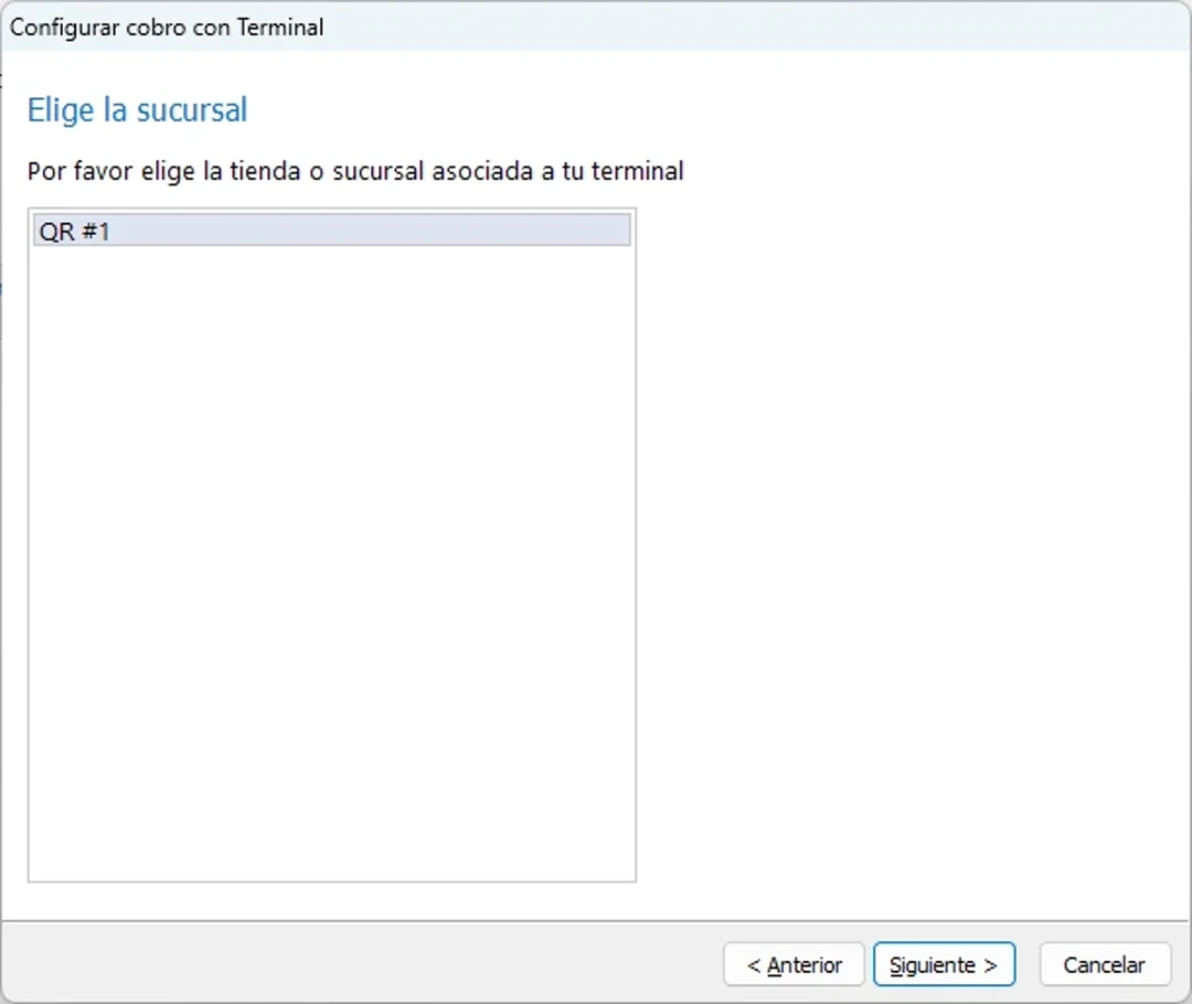 eleventa-elige-sucursal