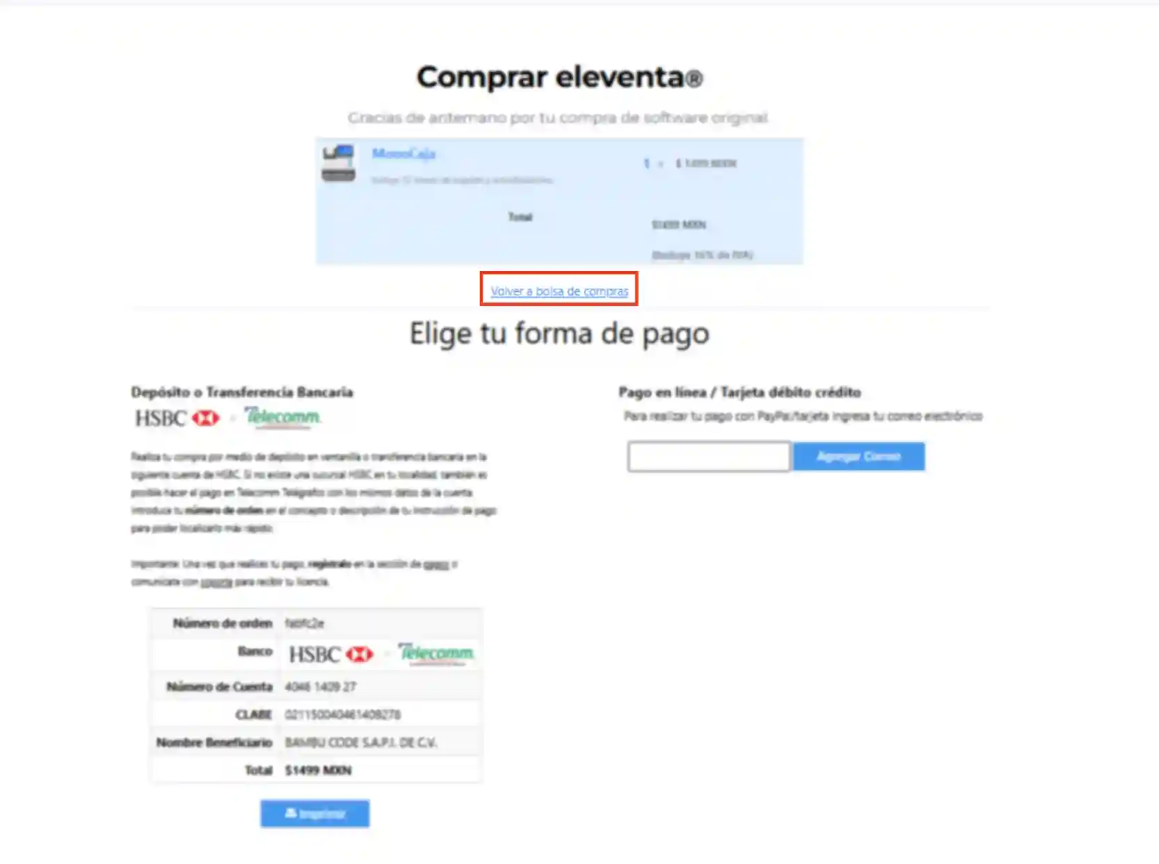 pagina-de-pago-de-eleventa-2