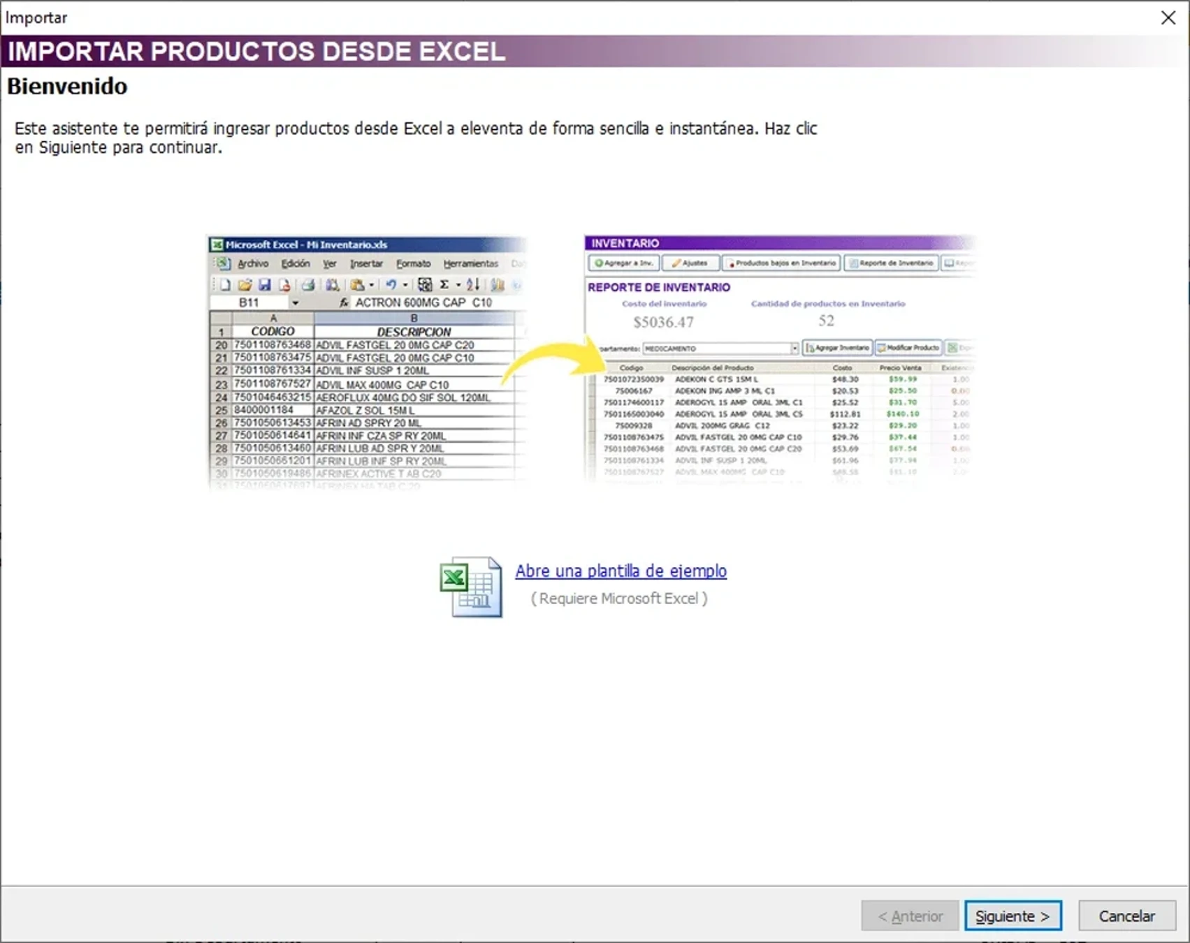 productos-importar-asistente-2