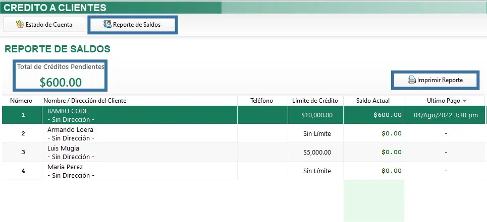 reporte-de-saldos