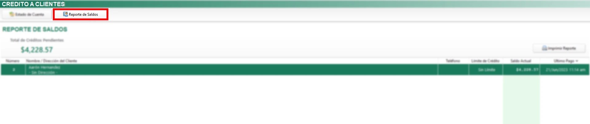 resporte-de-saldos-eleventa
