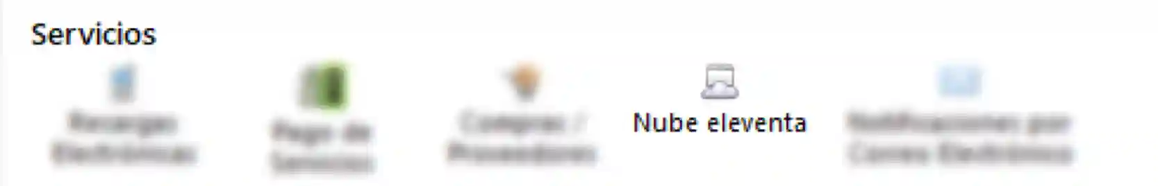 servicios-nube-eleventa.webp
